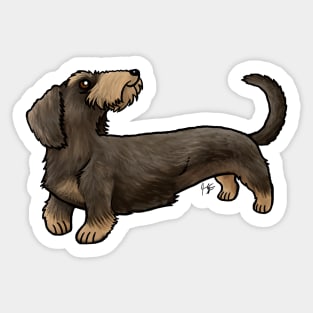 Dog - Wire-Haired Dachshund - Wild Boar Sticker